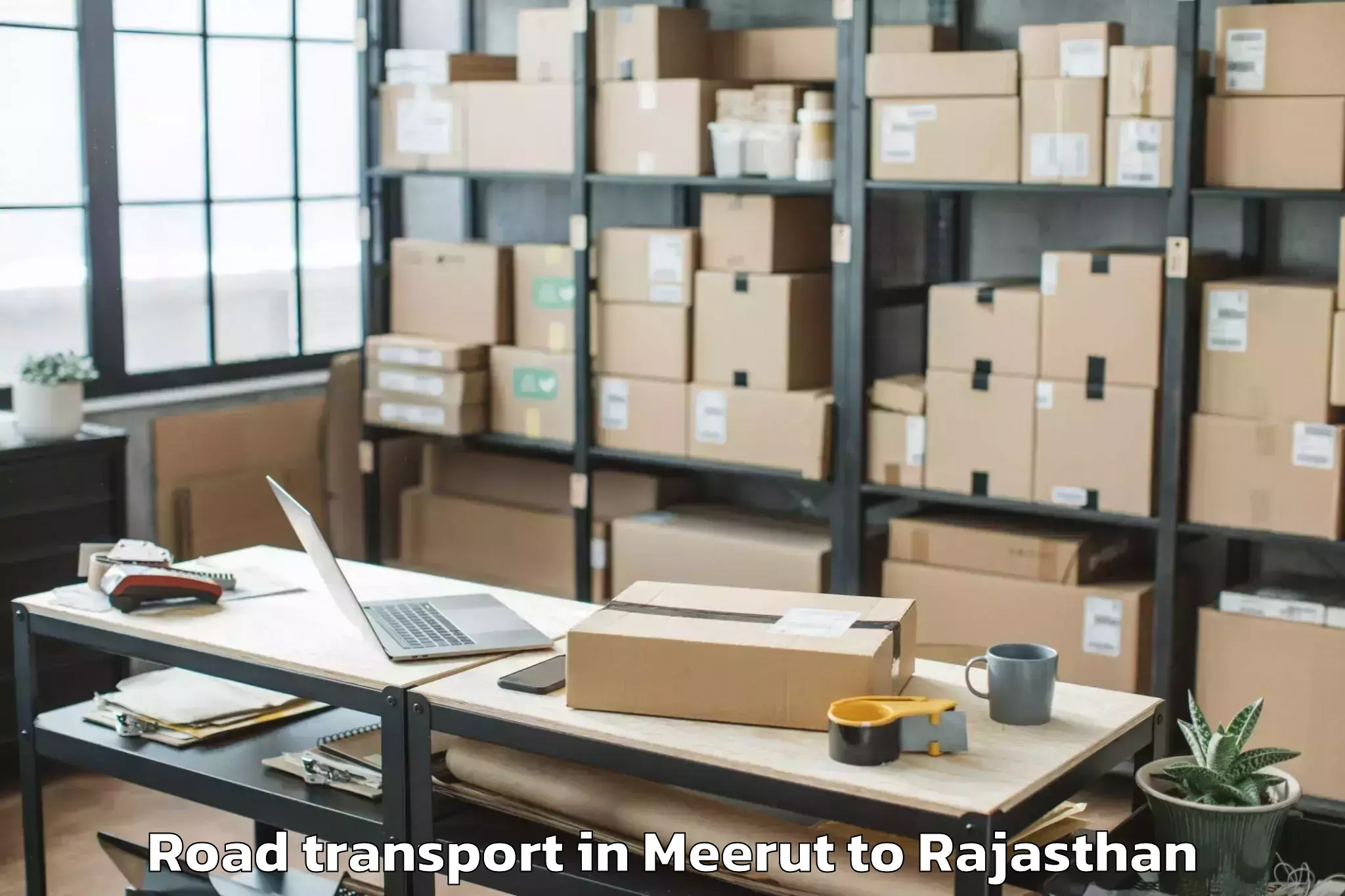 Easy Meerut to Bari Sadri Road Transport Booking